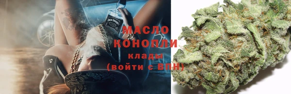 mdpv Бородино