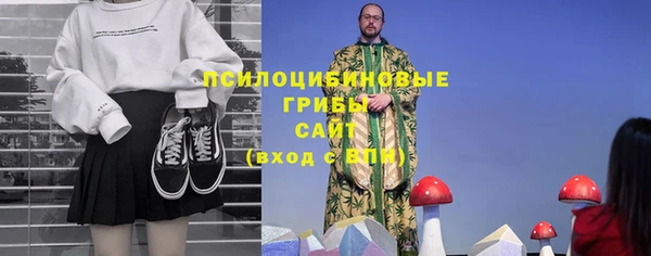 трава Бронницы