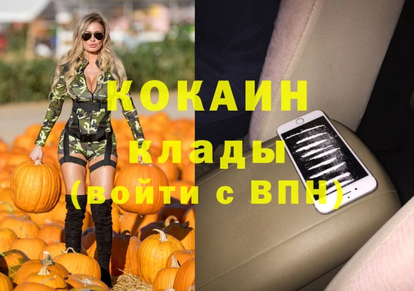 mdpv Бородино
