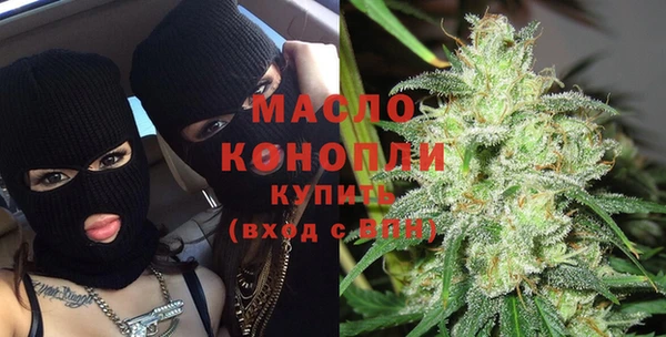 mdpv Бородино