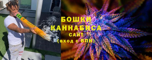 mdpv Бородино