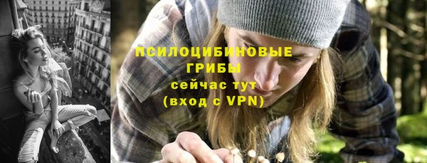 трава Бронницы