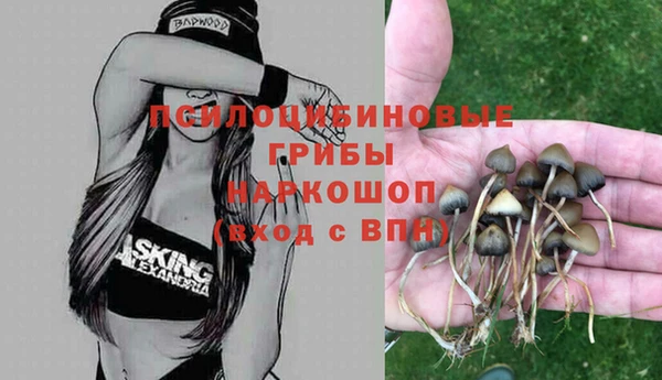 mdpv Бородино