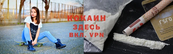 mdpv Бородино