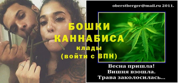 mdpv Бородино