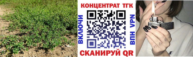 mega рабочий сайт как найти закладки Кадников ТГК гашишное масло